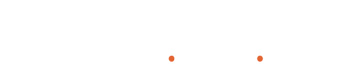 Ridegell Consulting — Technology. Strategy. Results